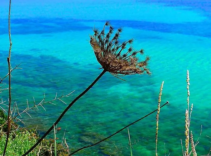 Frühstückspension A Chiosella 4*