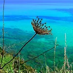 Bed & Breakfast A Chiosella 4*