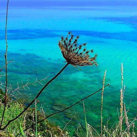 Bed & Breakfast A Chiosella 4*