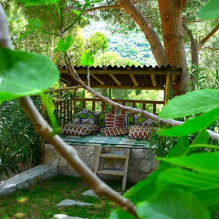 A Chiosella Bed & Breakfast Corbara